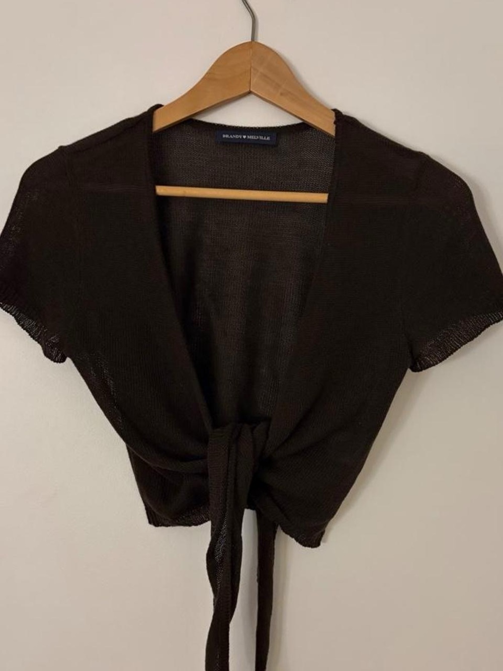 moving sale 💕 - brandy melville brown short sleeve tie front crop top o/s